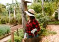 Os principais benefícios da jardinagem segundo psicólogos