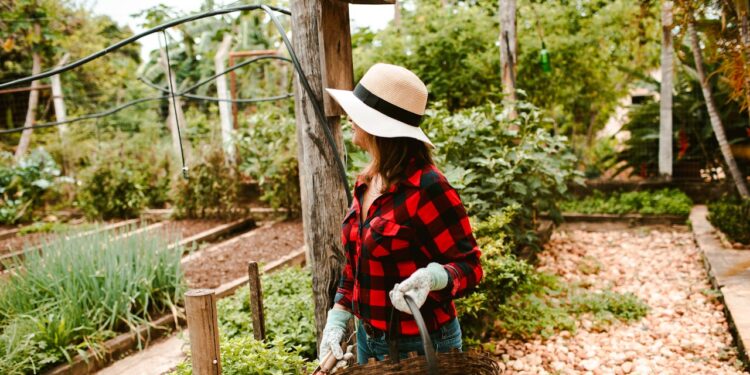 Os principais benefícios da jardinagem segundo psicólogos