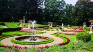 Como a umidade e a luz alteram o aroma das plantas