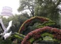 O segredo japonês de relaxamento através do cultivo de plantas