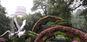 Como cuidar de plantas pode reduzir níveis de estresse