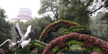 O segredo japonês de relaxamento através do cultivo de plantas