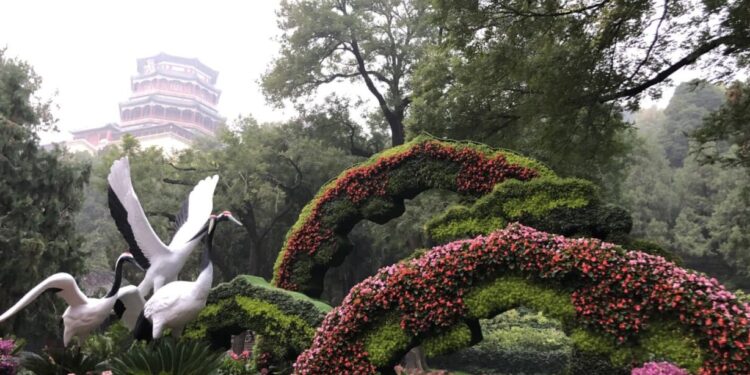 O segredo japonês de relaxamento através do cultivo de plantas