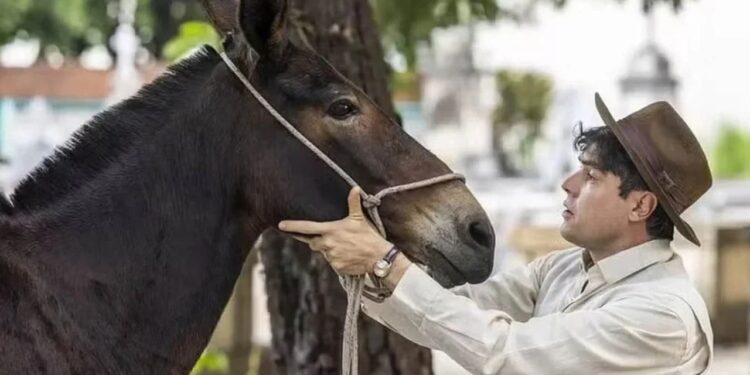 policarpo morre em êta mundo melhor