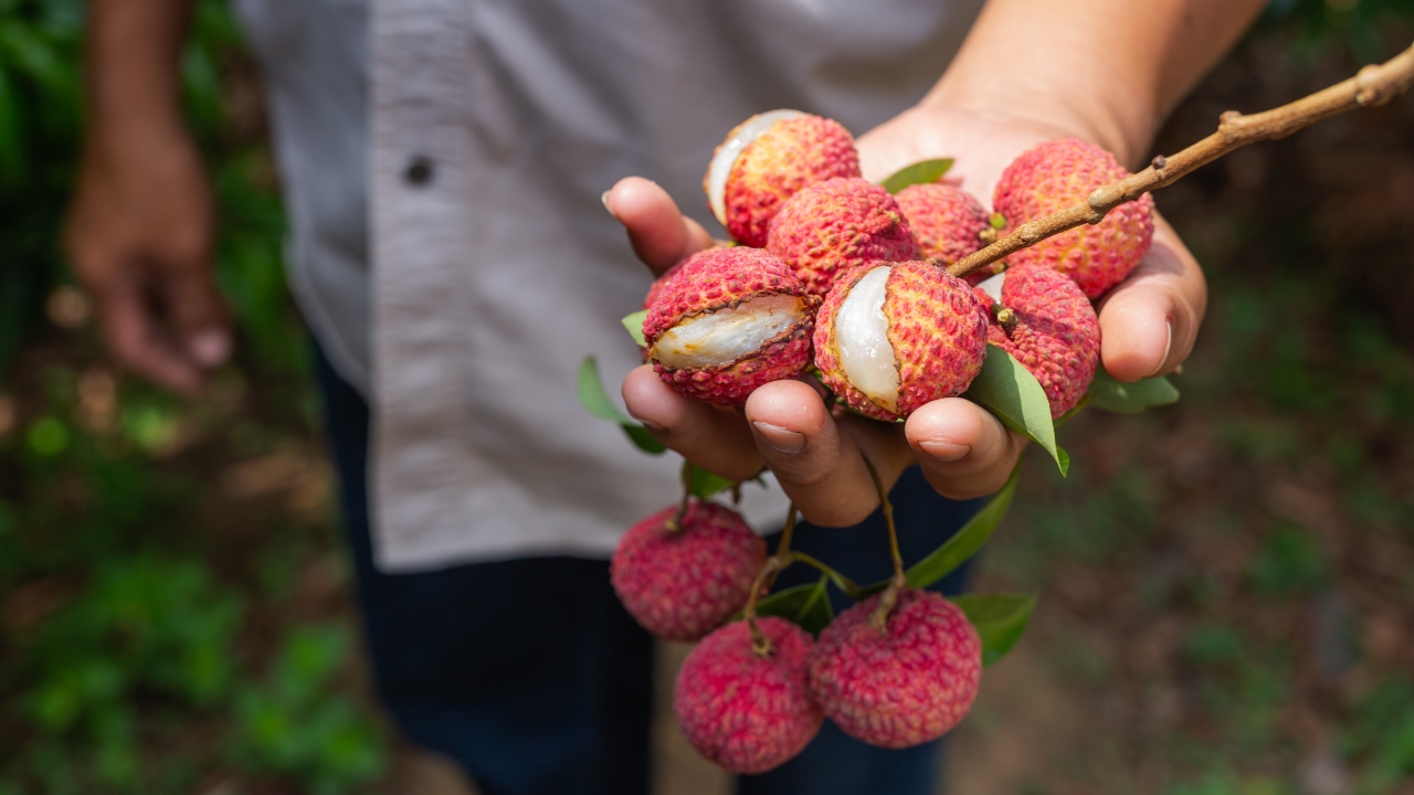 frutas ricas em vitamina C