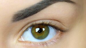 Óleo natural deixa sobrancelhas cheias, hidratadas e alinhadas