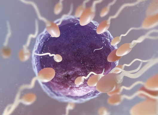 Qual deve ser o tempo entre tentativas de Fivs? Foto: FreePik