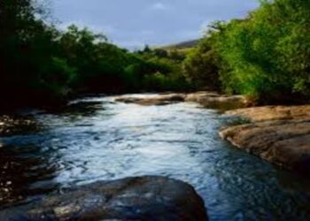 Experiência turística que promove contato direto com a natureza local. - Créditos: commons.wikimedia.org