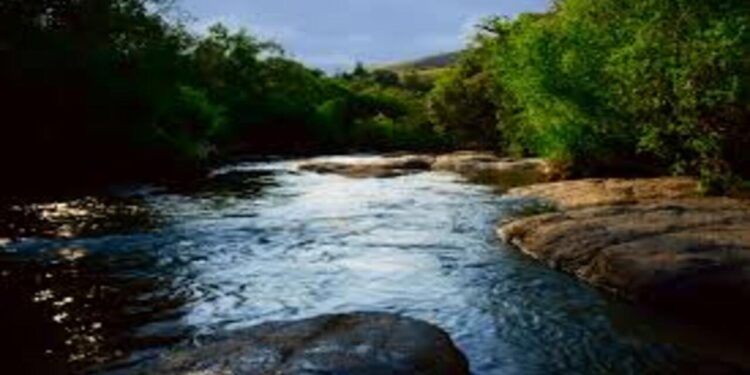 Experiência turística que promove contato direto com a natureza local. - Créditos: commons.wikimedia.org