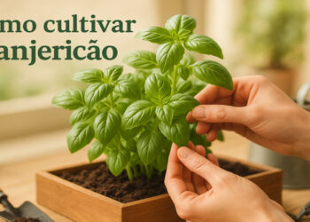 Seleção de variedades resistentes promovendo maior produtividade o ano inteiro