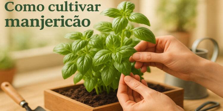 Seleção de variedades resistentes promovendo maior produtividade o ano inteiro