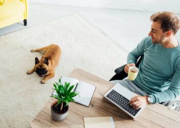 Soluções tecnológicas que aumentam a produtividade e organização do espaço de trabalho. - Créditos: depositphotos.com / HayDmitriy