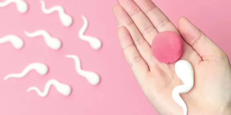 Infertilidade imunológica: Imunidade baixa pode atrapalhar a engravidar