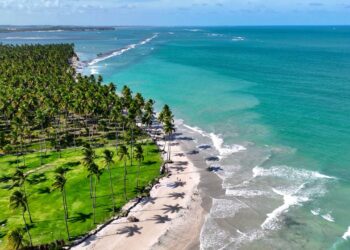 Cenário paradisíaco que combina coqueiros, águas mornas e o charme único do litoral pernambucano - Créditos: depositphotos.com / Cristian_Lourenco