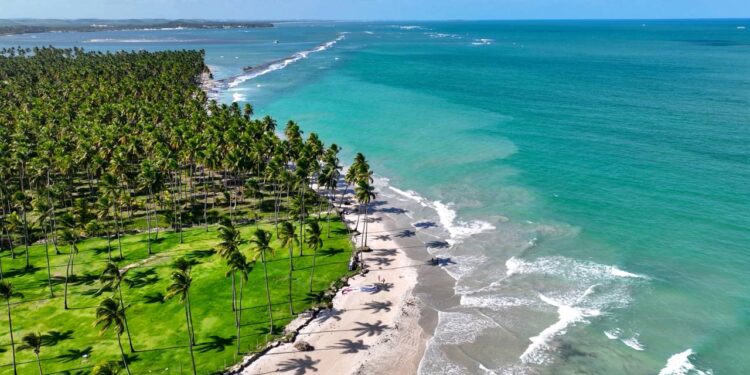 Cenário paradisíaco que combina coqueiros, águas mornas e o charme único do litoral pernambucano - Créditos: depositphotos.com / Cristian_Lourenco