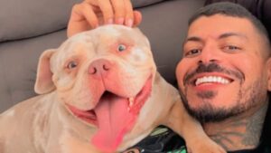 cachorro que comeu o dedo do dono