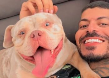 cachorro que comeu o dedo do dono