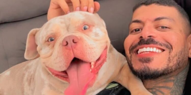 cachorro que comeu o dedo do dono