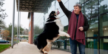 Cães terapeutas: entenda o papel dos cães de assistência. Foto: FreePik