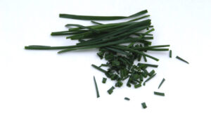 Como fazer sua cebolinha crescer muito mais bonita e saborosa