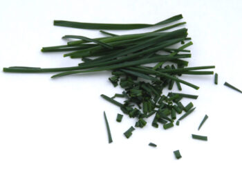 Como fazer sua cebolinha crescer muito mais bonita e saborosa