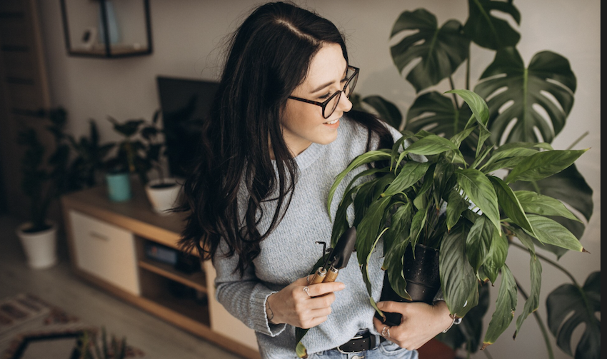 Veja como deixar sua casa mais fresca. Foto: FreePik