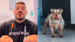 influenciador que o cachorro comeu dedo