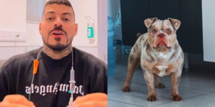 influenciador que o cachorro comeu dedo