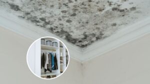 Dicas simples para evitar mofo em sua casa