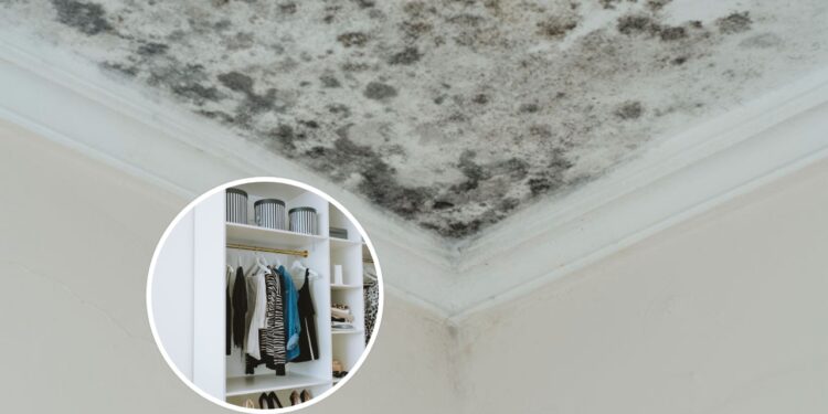 Como tirar cheiro de mofo das roupas guardadas