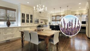 Dicas para deixar sua casa mais perfumada com plantas