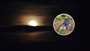 Como regar suas plantas a noite pode estar às matando