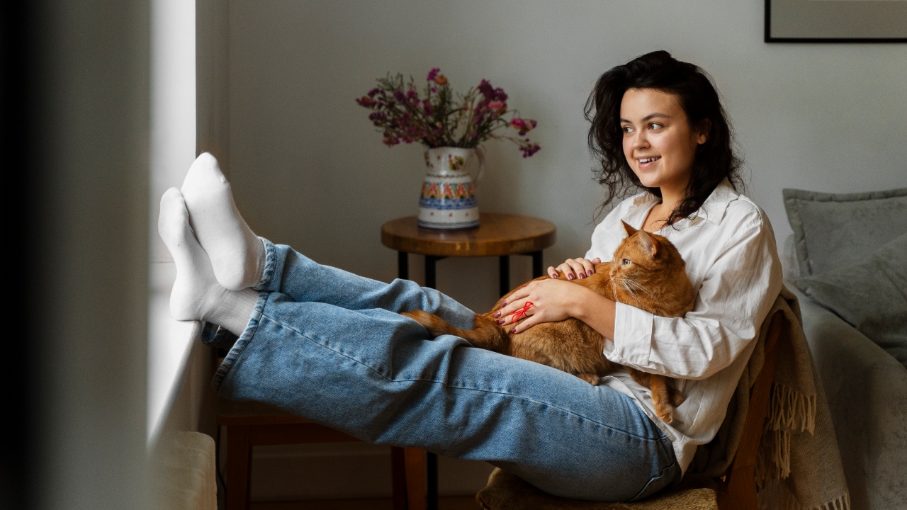 convivência com pets