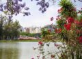 É primavera em São Paulo e opções para se apaixonar pela cidade não faltam - Crédito: Ibirapuera Oficial