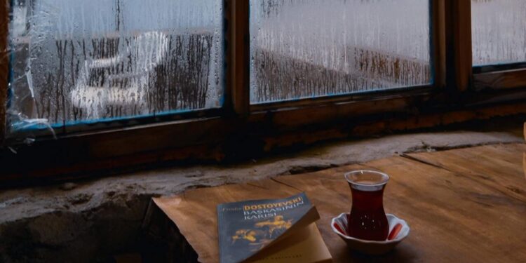 As melhores dicas para limpar suas janelas facilmente