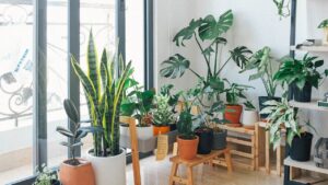 Como manter a casa fresca nos dias de calor