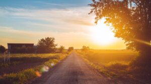 Como manter a casa fresca nos dias de calor