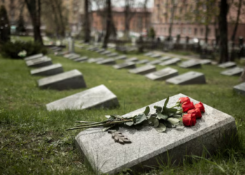 A cada 40 minutos, uma pessoa tira a própria vida no Brasil. Foto: FreePik