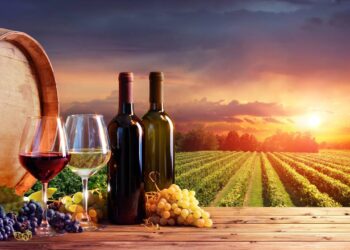 Conservação adequada que mantém qualidade e evita perdas de mercado - Créditos: depositphotos.com / rfphoto