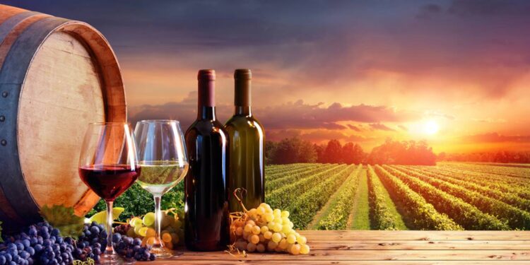 Conservação adequada que mantém qualidade e evita perdas de mercado - Créditos: depositphotos.com / rfphoto