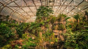 Como fazer uma estufa caseira para sua horta facilmente