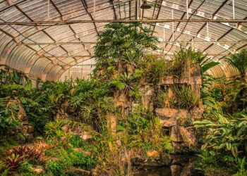 Como fazer uma estufa caseira para sua horta facilmente