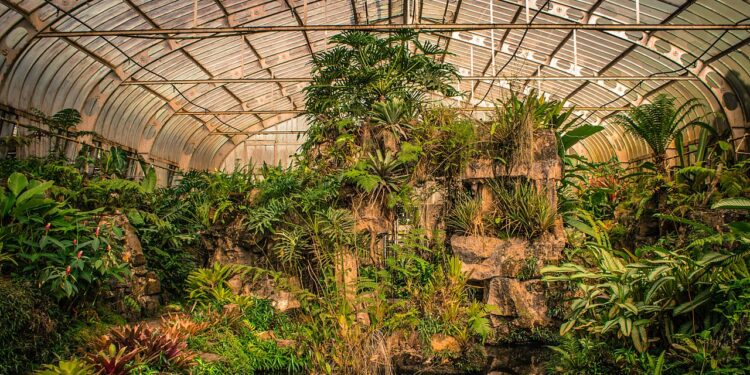 Como fazer uma estufa caseira para sua horta facilmente