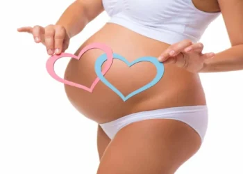 Cardápio da grávida de gêmeos