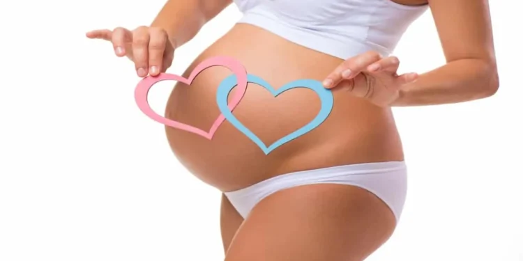 Cardápio da grávida de gêmeos