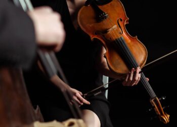 Instrumentos musicais antigos encontrados em casas comuns que podem valer muito