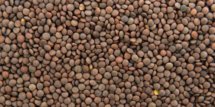 benefícios da lentilha