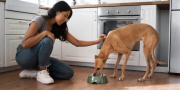 Alimentação natural para pets