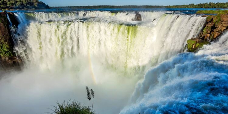 Contato com a natureza que transforma cada visita em lembrança inesquecível. - Créditos: depositphotos.com / rmnunes