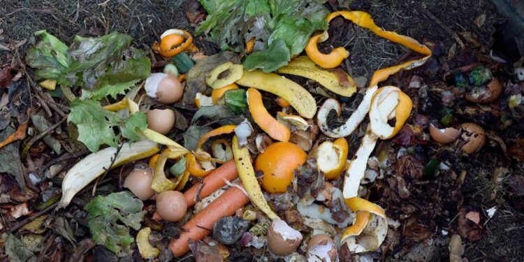 Como reaproveitar restos de alimentos na horta